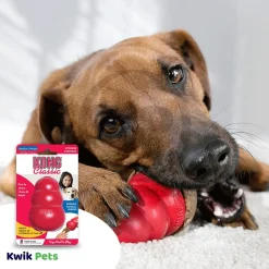 KONG Classic Dog Toy Medium