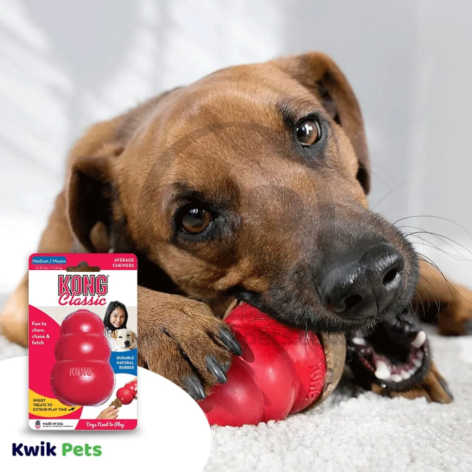 KONG Classic Dog Toy Medium