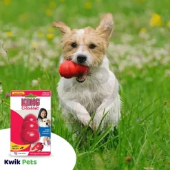 KONG Classic Dog Toy Small