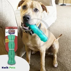 KONG Dental Squeezz Stick Dog Chew Toy Teal Medium