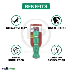 KONG Dental Squeezz Stick Dog Chew Toy Teal Medium