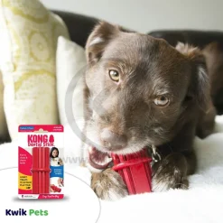 KONG Dental Stick Chew Dog Toy Medium