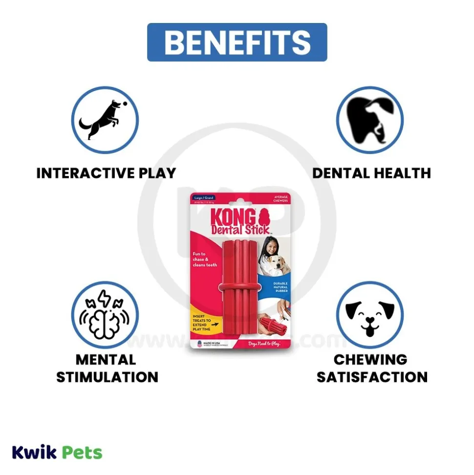 KONG Dental Stick Chew Dog Toy Large