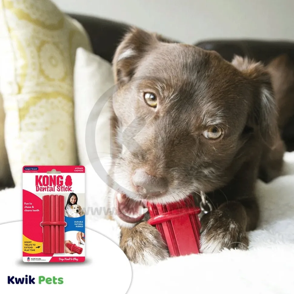 KONG Dental Stick Chew Dog Toy Large