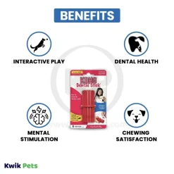 KONG Dental Stick Chew Dog Toy Small