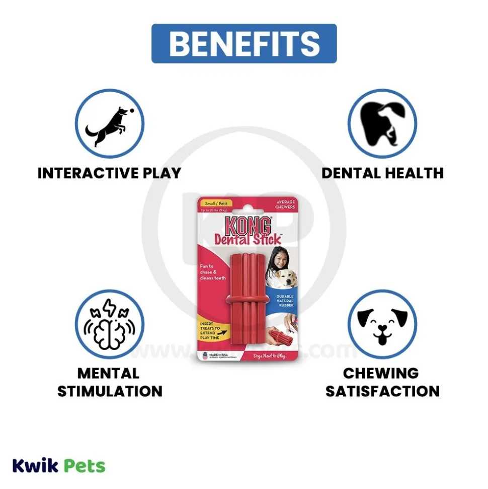 KONG Dental Stick Chew Dog Toy Small