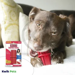KONG Dental Stick Chew Dog Toy Small