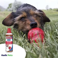 KONG Easy Dog Treat Chicken Liver 8-oz