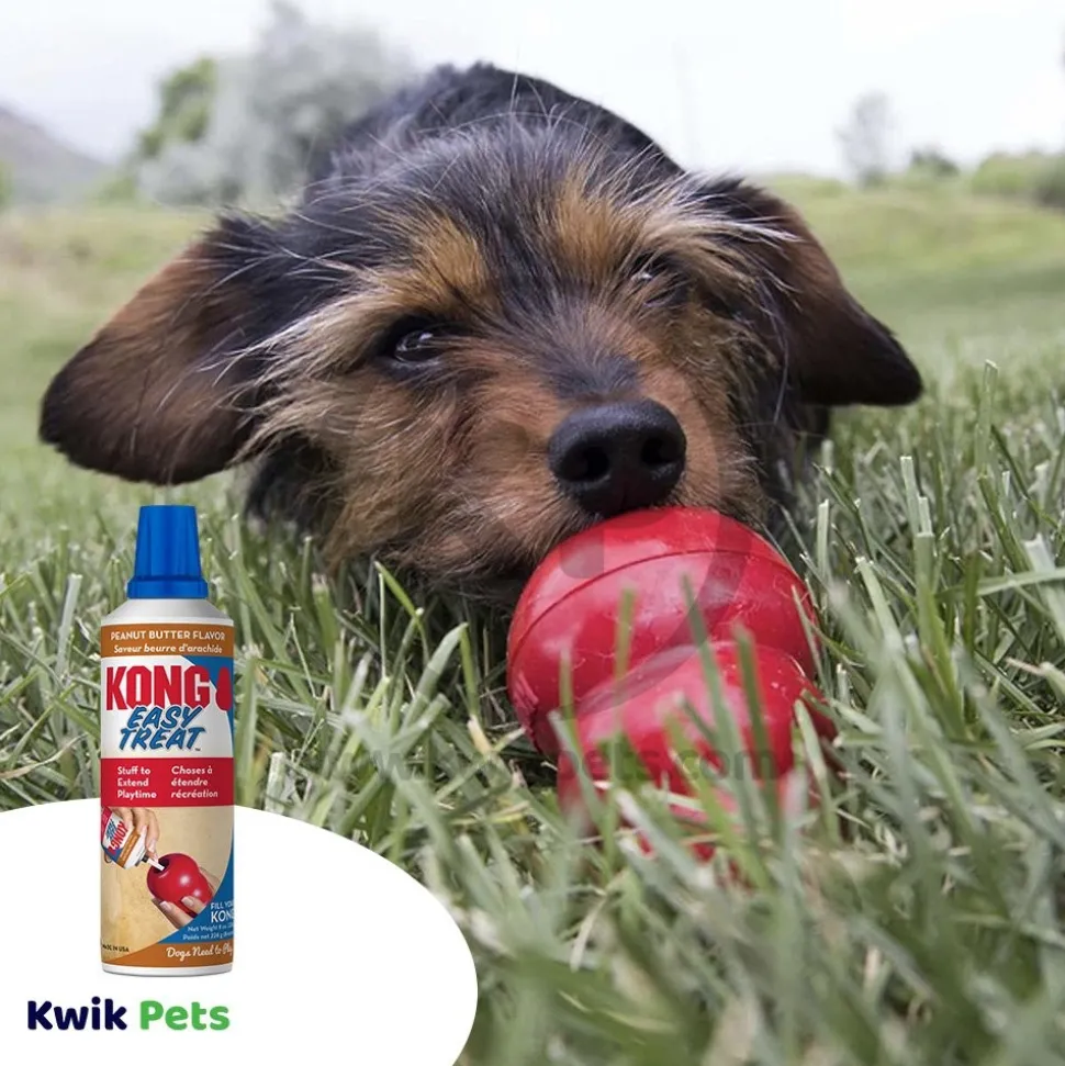 KONG Easy Dog Treat Peanut Butter 8-oz