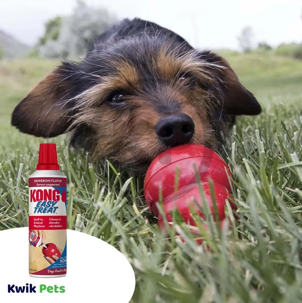 KONG Easy Dog Treat Pepperoni 8-oz
