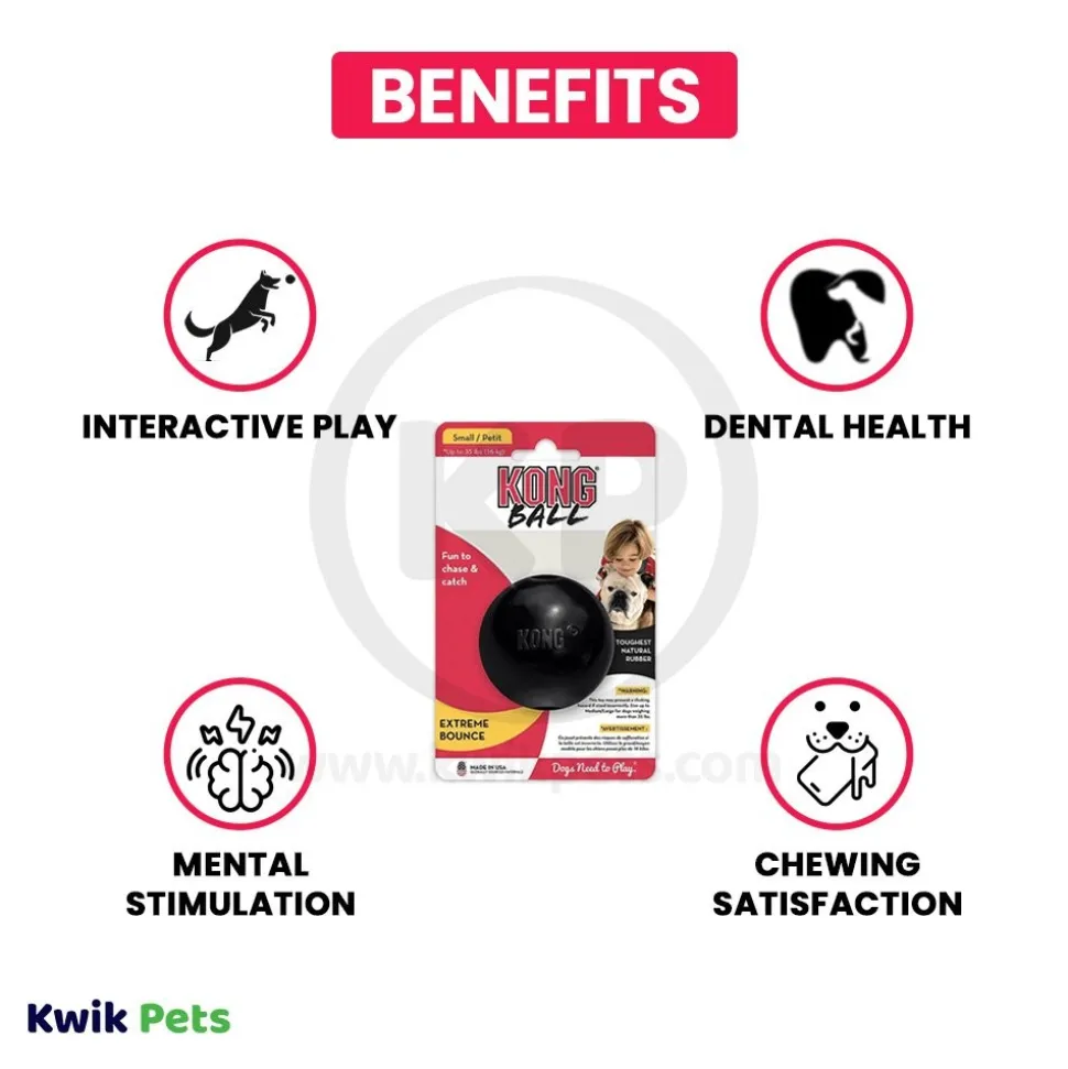 KONG Extreme Ball Dog Toy Black Small