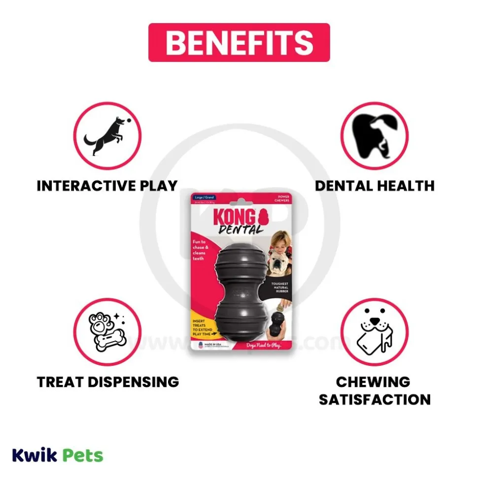 KONG Extreme Dental Dog Toy Large