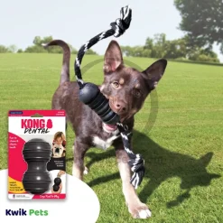 KONG Extreme Dental Dog Toy Large