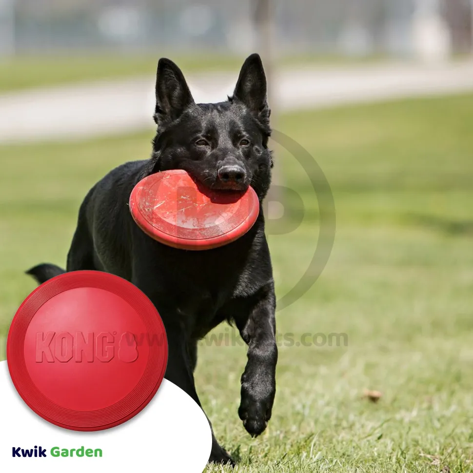KONG Flyer Dog Toy Red Small