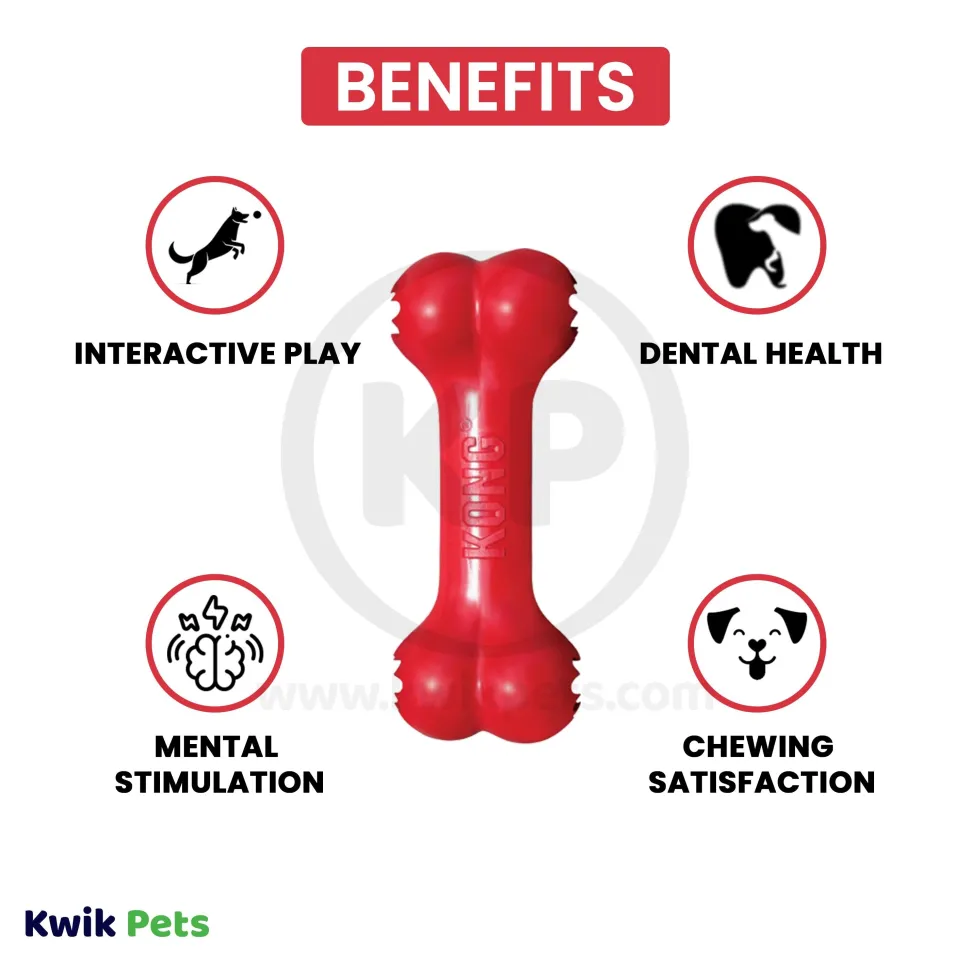 KONG Goodie Bone Dog Toy Large