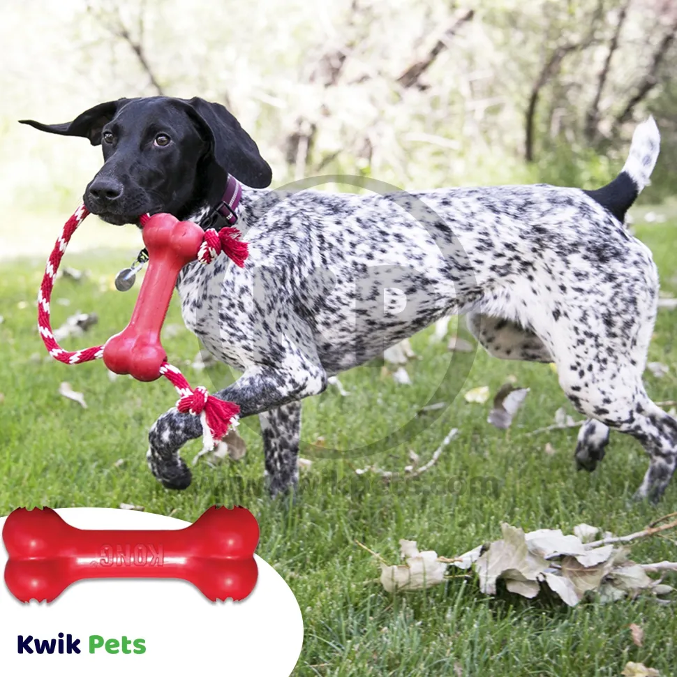 KONG Goodie Bone Dog Toy Small