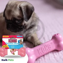 KONG Goodie Bone Puppy Toy Assorted Small