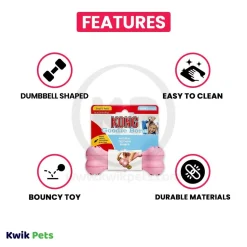 KONG Goodie Bone Puppy Toy Assorted Small