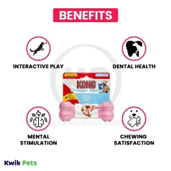KONG Goodie Bone Puppy Toy Assorted Small