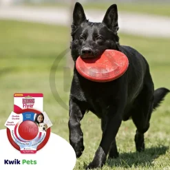 KONG Puppy Flyer Dog Toy Assorted Small