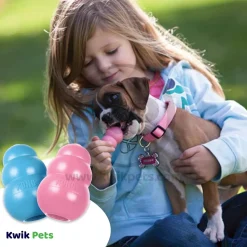 KONG Puppy Toy Assorted Medium