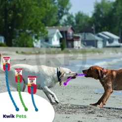 KONG Safestix Dog Toy Assorted Small
