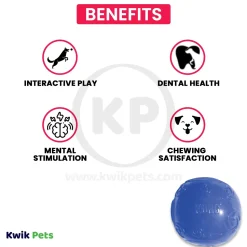 KONG Squeezz Ball Dog Toy Color Assorted XL