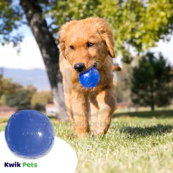 KONG Squeezz Ball Dog Toy Color Assorted Medium