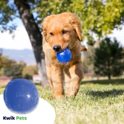 KONG Squeezz Ball Dog Toy Color Assorted Large