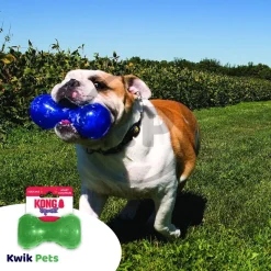 KONG Squeezz Dumbbell Dog Toy Assorted Small