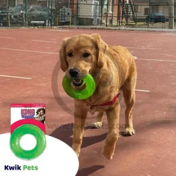 KONG Squeezz Ring Dog Toy Assorted Large