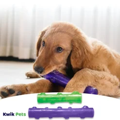 KONG Squeezz Stick Dog Toy Assorted Medium