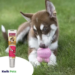 KONG Stuff'N Dog Treat Paste Tube Peanut Butter 5-oz