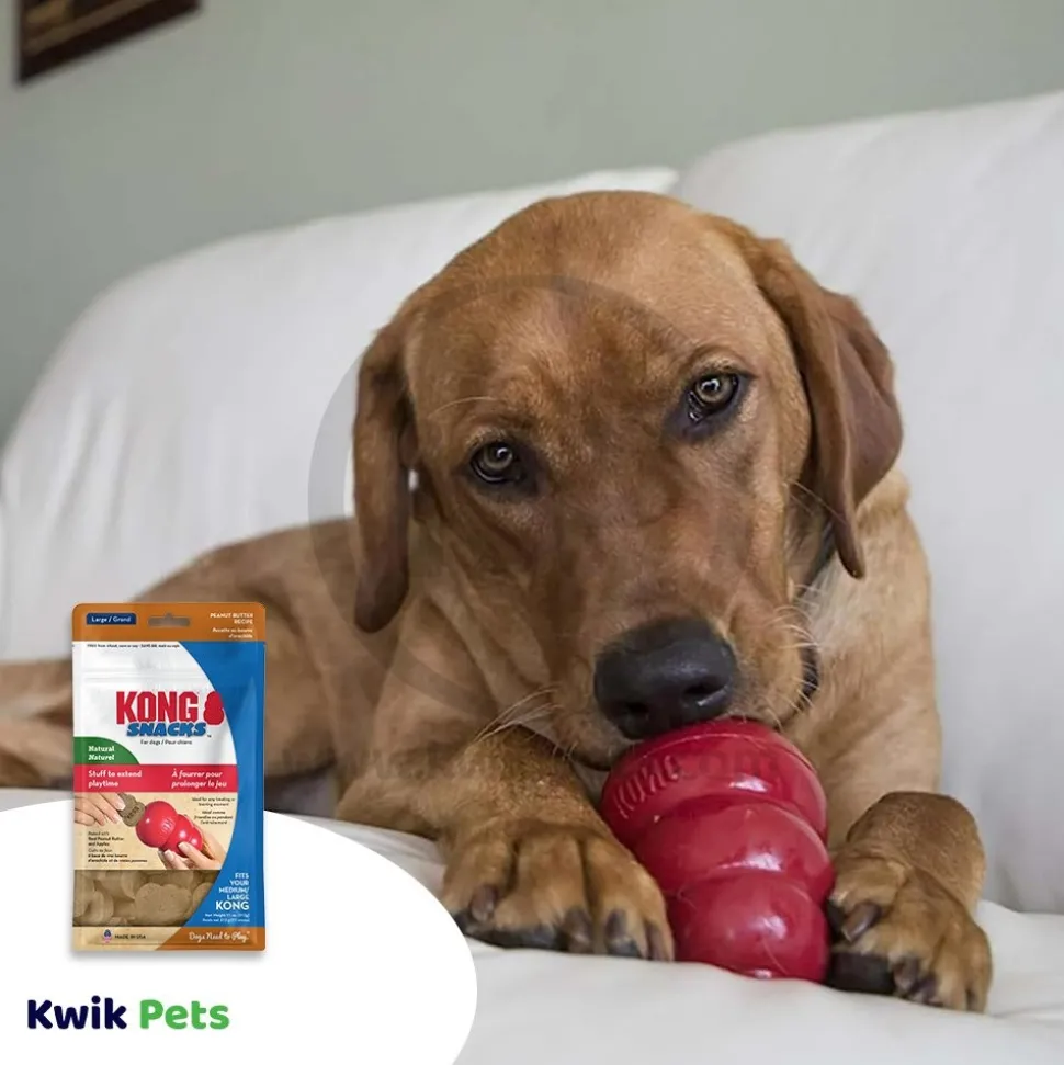 KONG Stuff'N Snacks Dog Treats Peanut Butter Large 11-oz