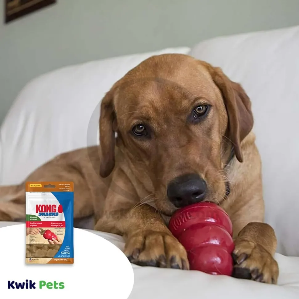 KONG Stuff'N Snacks Dog Treats Peanut Butter Small 7-oz