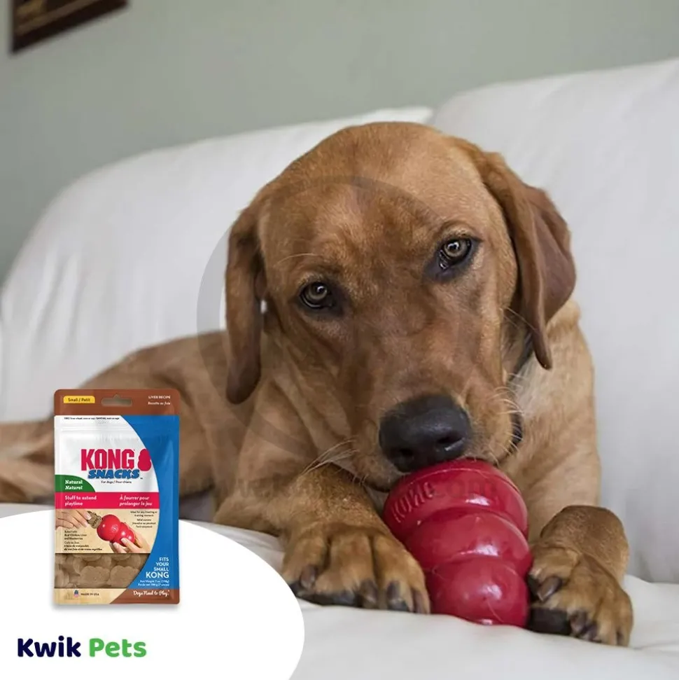 KONG Stuff'N Snacks Dog Treats Liver Small 7-oz