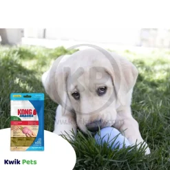 KONG Stuff'N Snacks Puppy Treats Chicken Liver Small 7-oz