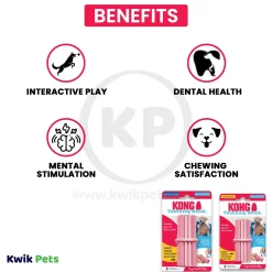 KONG Teething Stick Puppy Toy Assorted Medium