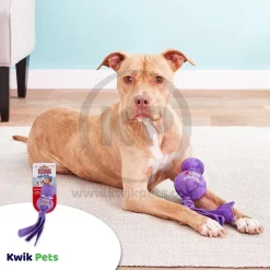 KONG Wubba Dog Toy Assorted Large