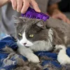 KONG Zoomgroom Cat Brush Purple One Size