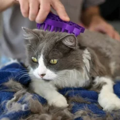 KONG Zoomgroom Cat Brush Purple One Size