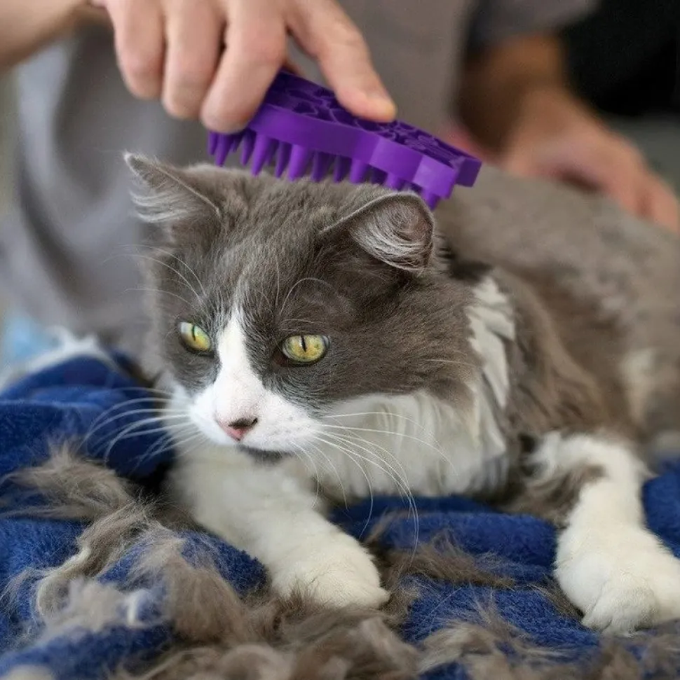 KONG Zoomgroom Cat Brush Purple One Size