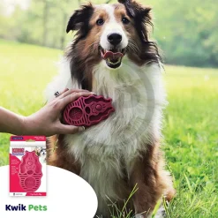 KONG Zoomgroom Rubber Dog Brush Raspberry Large