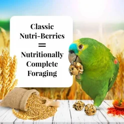 Lafeber Classic Nutri-Berries Parrot Bird Food 3.25-lb