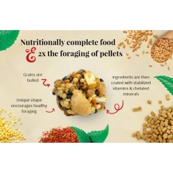 Lafeber Classic Nutri-Berries Parrot Bird Food 3.25-lb
