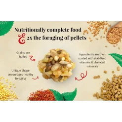 Lafeber Classic Nutri-Berries Parakeet Bird Food 4-lb