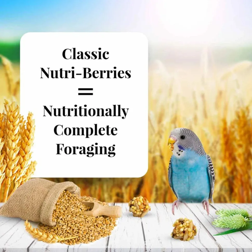 Lafeber Classic Nutri-Berries Parakeet Bird Food 4-lb