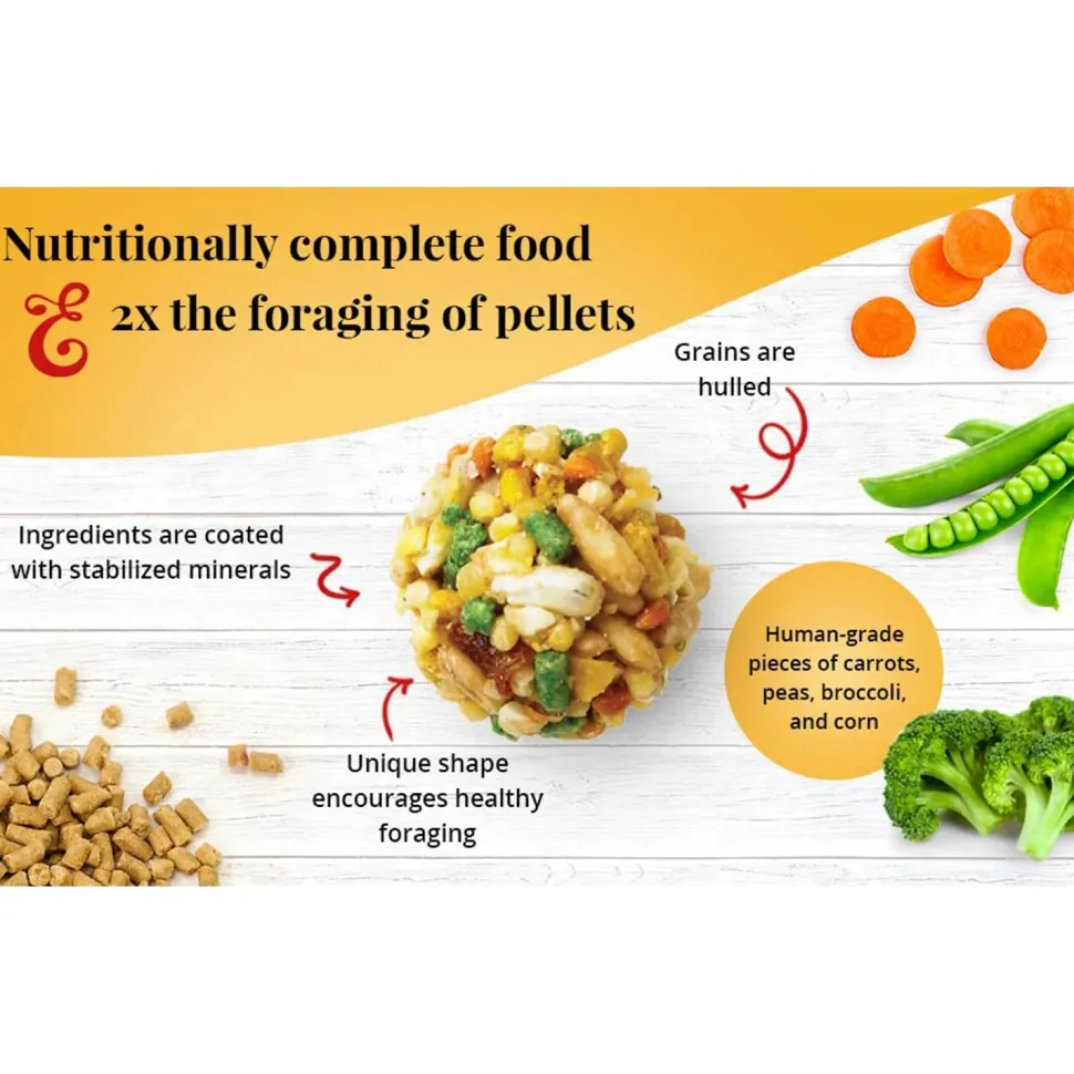 Lafeber Garden Veggie Nutri-Berries Parrot Bird Food 3-lb