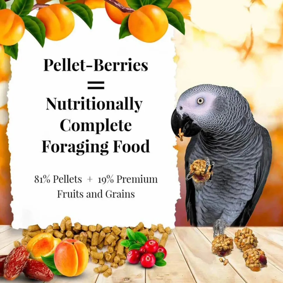 Lafeber Pellet-Berries Sunny Orchard Parrot Food 2.75-lb