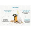 Lafeber Premium Daily Pellets Macaw & Cockatoo Bird Food 5-lb